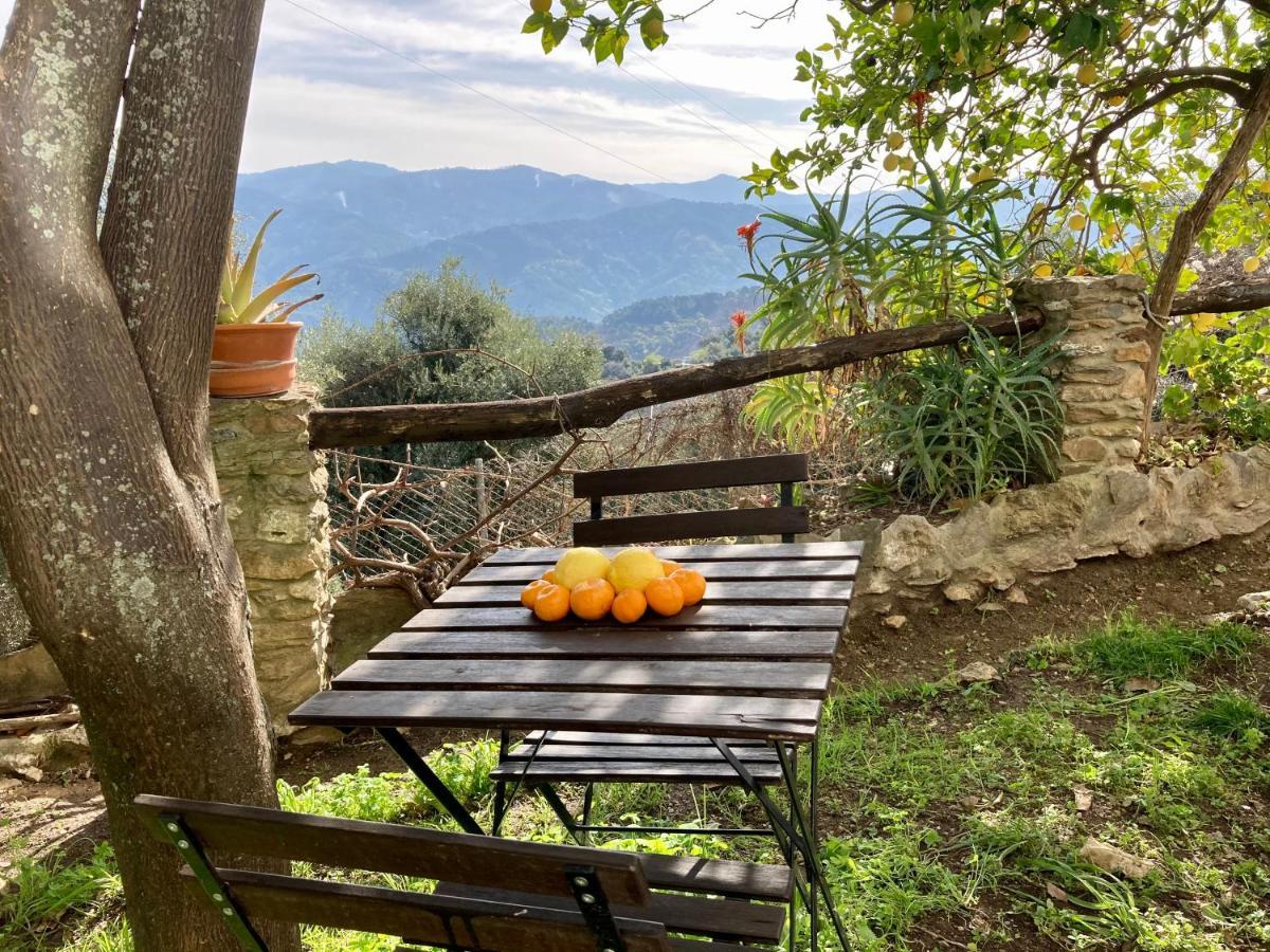 Benalauría Casa Rural Villa Sila מראה חיצוני תמונה